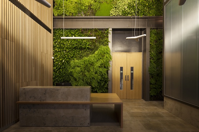 A double-height living green wall is the backdrop to the lobby area, which also features timber batten-lined walls and a translucent green lift shaft that stretches up to the ceiling. 
