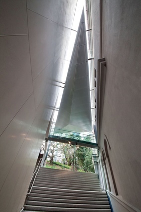 The gallery allows in unusual amounts of natural light.