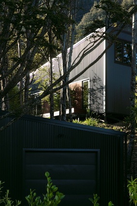 Tall Tree House by CF Architecture, winner of the 2024 National Award for New Home up to 150m² and the National ADNZ Resene Kaitiakitanga Award.