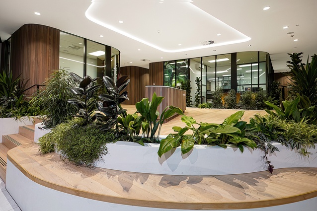 Shortlisted - Commercial Architecture: Donnithornes by IKON Architects.