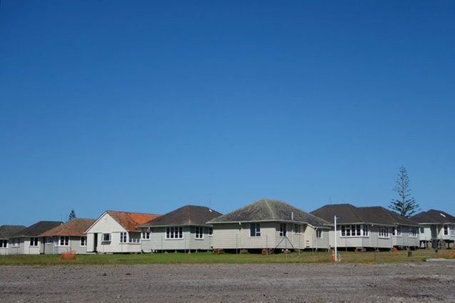 A state housing 'graveyard' in Auckland's Hobsonville. 