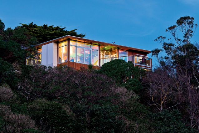 Tui House is discreetly and tightly nestled within bush and surrounding homes.