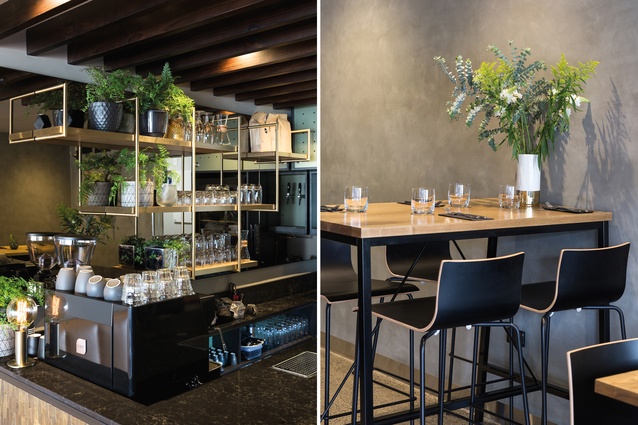 Designed by Maken, the interior of Ponsonby’s Hyde Kitchen & Cellar boasts gentle warmth and plenty of greenery.