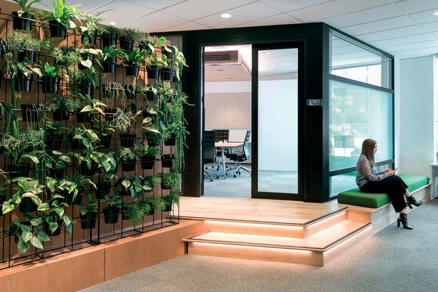 Hanging plants connect with the company’s ‘green’ philosophy and increase its Green Star potential.