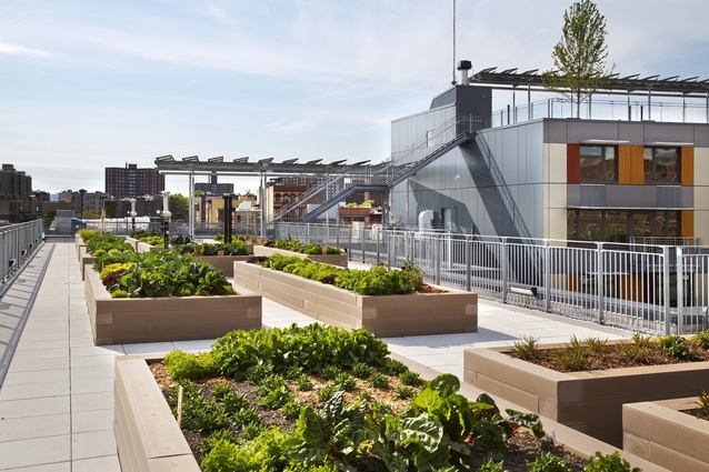 Rose's Via Verde project is an example of a development that creates affordable housing for high-density areas.