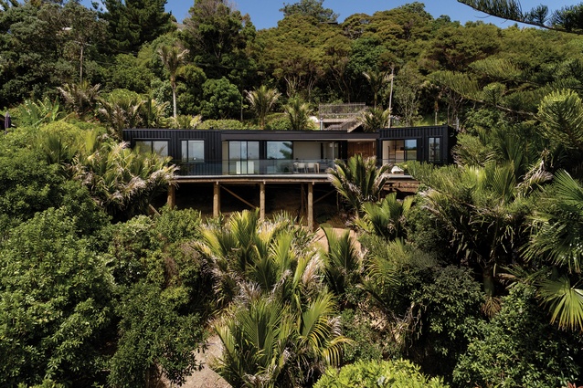 The owners were challenged by a steep, sloping site and budget restraints when looking to build on their Waiheke Island property.
