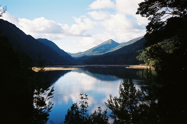 The colours depicted in Tunui’s hīnaki are seen at Kahurangi National Park.