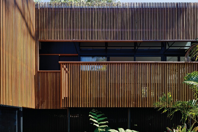 A veil of striated timber cladding wraps the decks, screening the rooms and ledges behind while uniting the spaces.