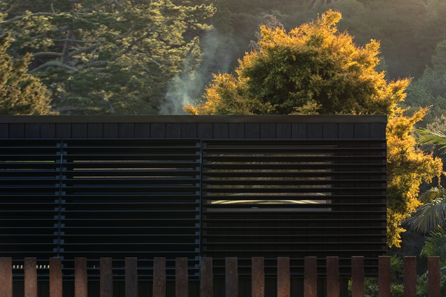 The new pavilions have been built around a large golden tōtara.