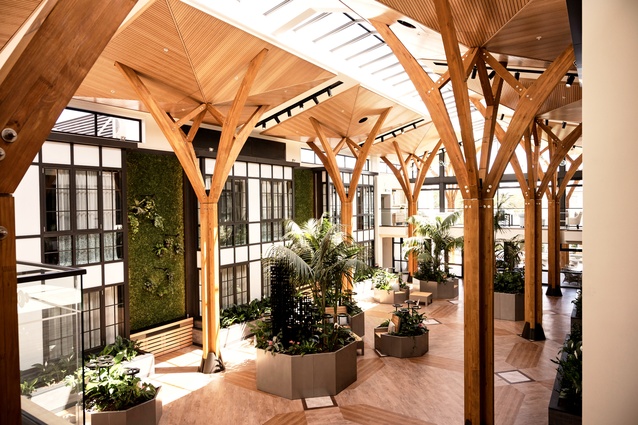 The atrium features moss walls along with custom-made furniture pieces that integrate planting into the design.