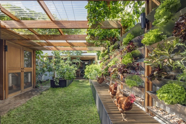 The rear yard was influenced by the owners' interest in permaculture and includes features that positively feed back into each other.