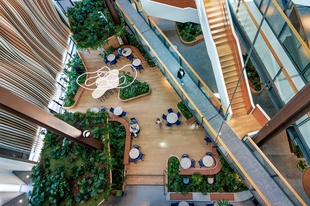 Outside In wins eight honours at International Plantscape Awards