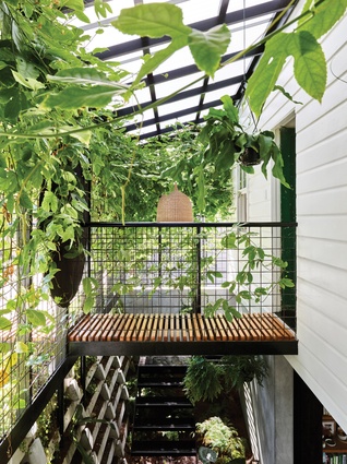 The house’s eponymous “terrarium” was created by installing a light trellis of welded mesh, which is now heaving with vines.