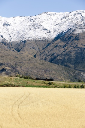 Simon Wilson’s top five: Alpine Terrace by Fearon Hay.