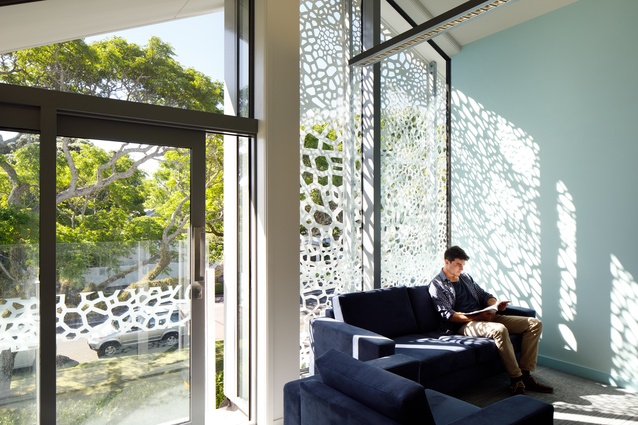 The façade design of Auckland Eye Clinic was hand-drawn and represents thousands of corneal cells.