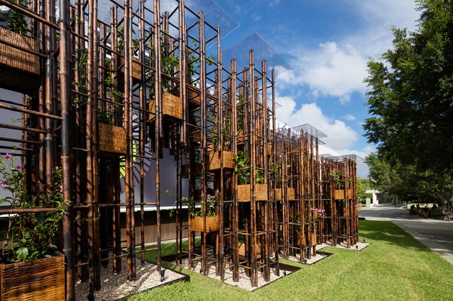 Bamboo beginning: Green Ladder | Architecture Now
