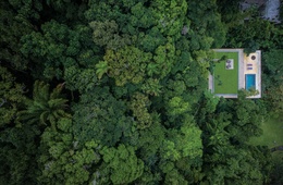 Tree-hut hideaway: Jungle House