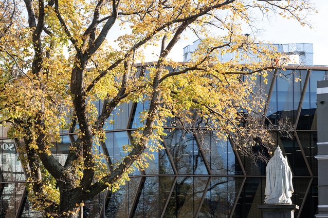 The façade’s articulated surface captures seasonal transitions, with its colour, geometry and materiality reflecting the play of dappled light across the elevation.
