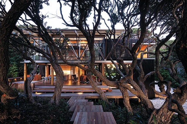‘Under Pohutukawa’, Auckland, 2011, designed by Herbst Architects. 