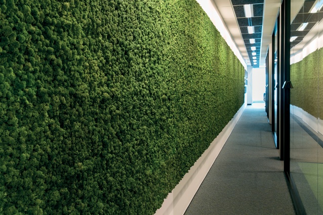 A wall of soft sphagnum moss adds texture and connects with the company's 'green' philosophy.