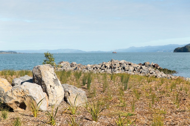 Native grasses and specimen trees soften the rocky headlands. There's future potential to link this beach with the Waikaraka Cycleway and the future Taylors Bay coastal walkway.