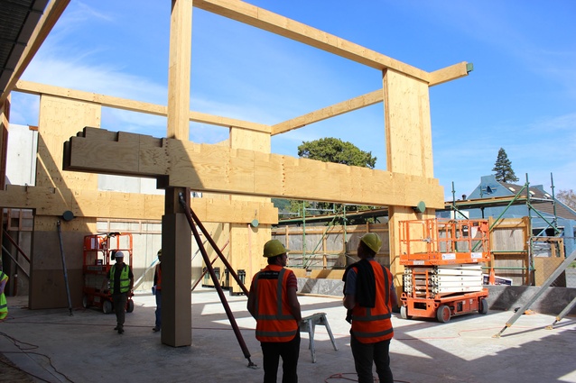 The structural frame utilises LVL columns and beams with CLT shear walls. 