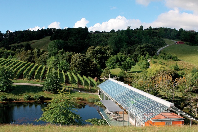 The Glass House hovers beside the vineyard, cantilevered over a waterlily-fringed lake.