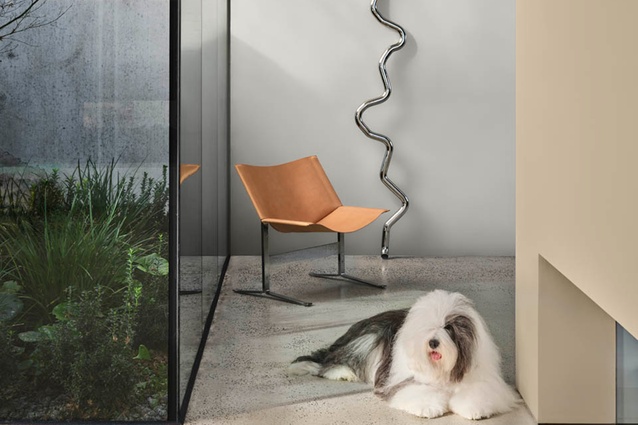 Dulux Colour Forecast 2026 - Elemental.
