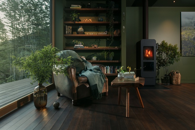 Tall Tree House by CF Architecture, winner of the 2024 National Award for New Home up to 150m² and the National ADNZ Resene Kaitiakitanga Award.