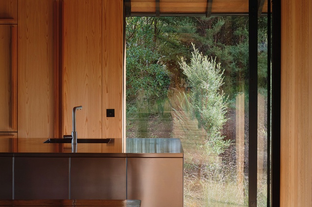 Winner - Sir Ian Athfield Award for Housing: Popadich House by Davor Popadich.