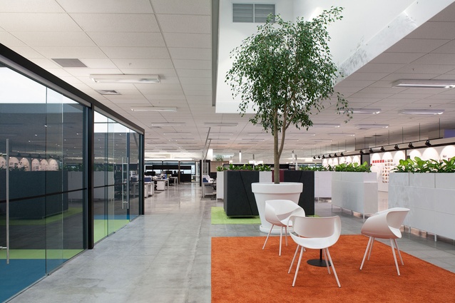 The project area incorporates strong colours and furniture choices, concrete floor. 