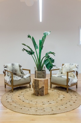 The informal cluster of natural-toned furniture and greenery encapsulates the overall aesthetic.