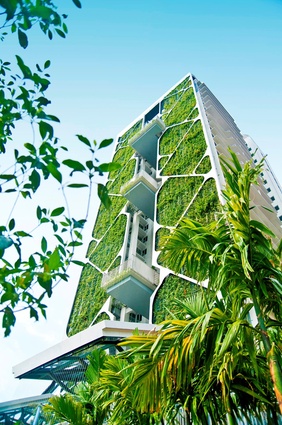 The Tree House in Singapore was built in 2013 and is an enormous 2,290 square metres. It is expected to save more than $US500,000 in energy and water costs annually.