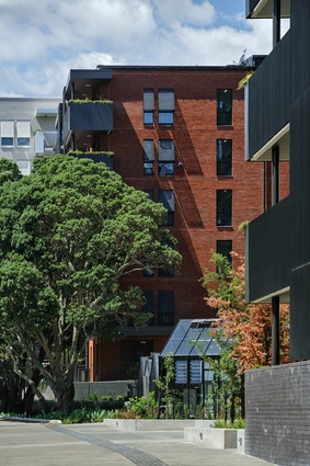A key driver was to retain two existing pōhutukawa.