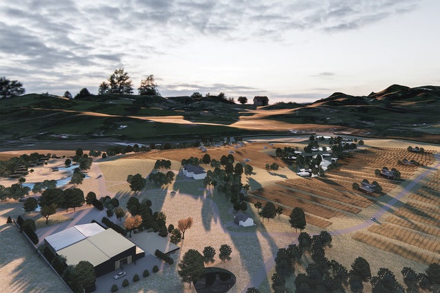 Matakana Estate from a drone’s perspective.