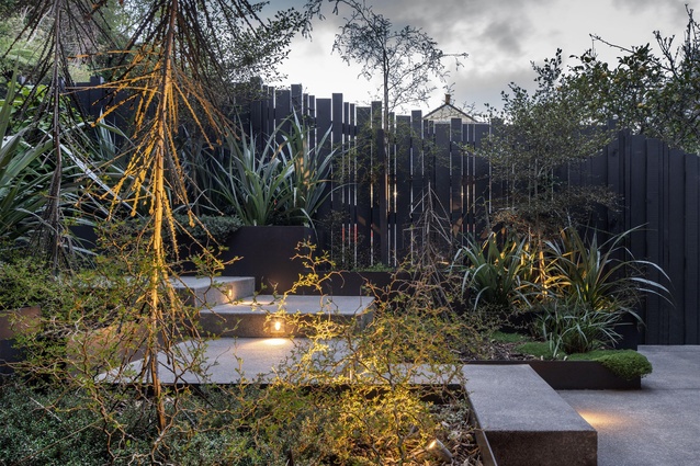 Modern slab steps with inset lighting complement and offset the forms and textures of the native planting scheme.