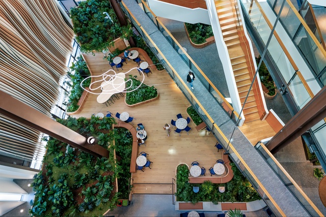 Outside In wins eight honours at International Plantscape Awards