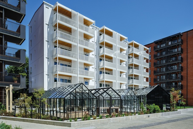 Glasshouses are provided both as community gardens and for meetings and events.