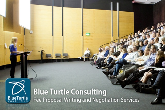 Fee Proposal Workshop by Blue Turtle