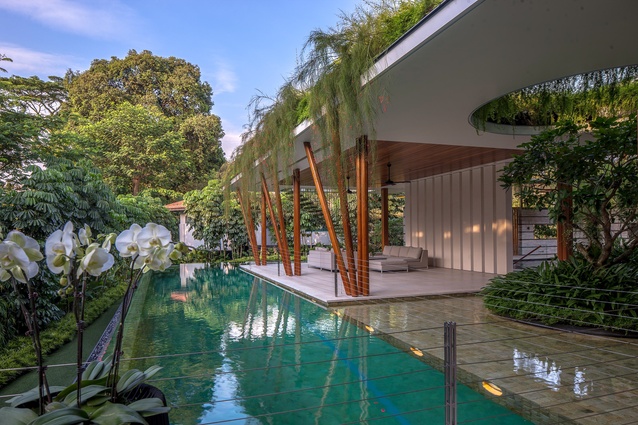 The Coral House (Singapore) ― Architecture by Guz Architects