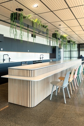 Finnish birch plywood brings in warm accents by way of ceiling, joinery and wall details.