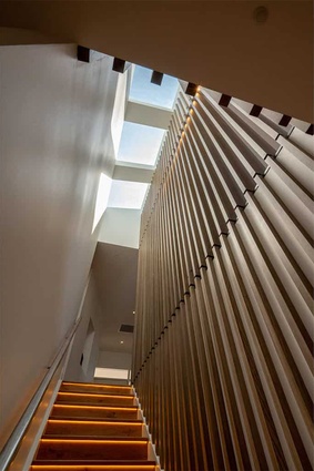 In the centre of the new space is a large internal staircase linking the upper and lower levels surrounded by cedar slats that draw the eye to oversized skylights above
