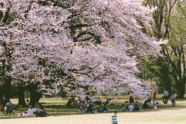 Ben was born in a Tokyo suburb near the Komazawa Olympic Park.