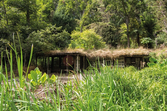 The Pigsty, Kaurinui.© 