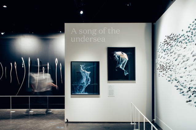 Always Song in the Water exhibition by The Letter Q Ltd and New Zealand Maritime Museum winner of the Resene Total Colour Installation - Experiential – Product Colour Maestro Award.

