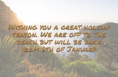 Happy holidays from ANow!