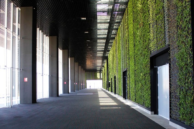The Los Cabos International Convention Centre living wall by Fernando Romero. A modern green facility that features what was the world's living largest green wall in 2012.