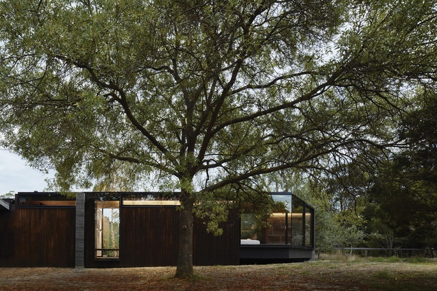 A Pavilion Between Trees by Branch Studio Architects
