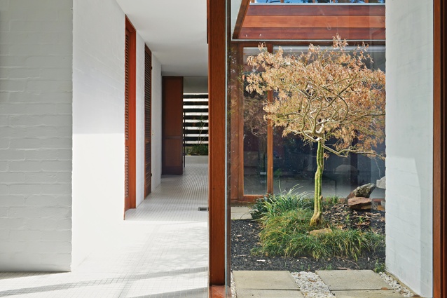 The house fills up its block, creating defined garden courtyards rather than a bushland setting.