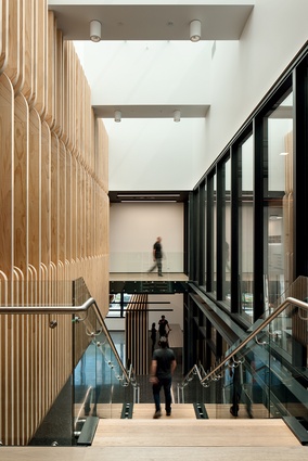 Steel and polished concrete are the key anchors of the ground entrance and stairwell, highlighted with timber elements.